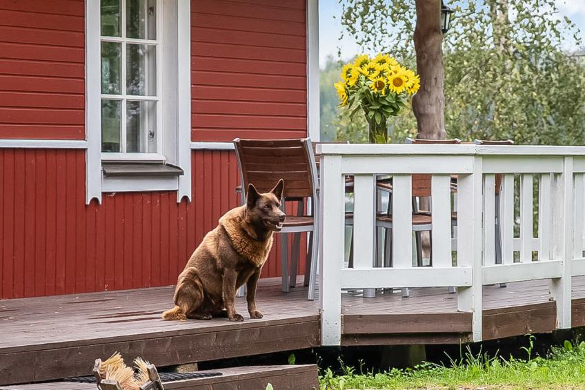 Tuomaantupa, rantalan lomamökit - foto 15