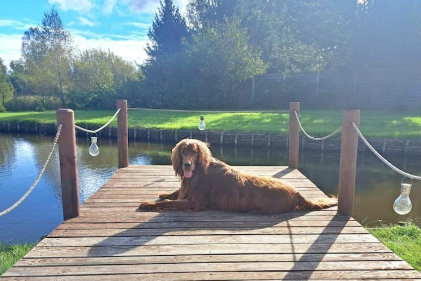 Domek wakacyjny VIP dla max 7 osób w Bałachach - foto 28