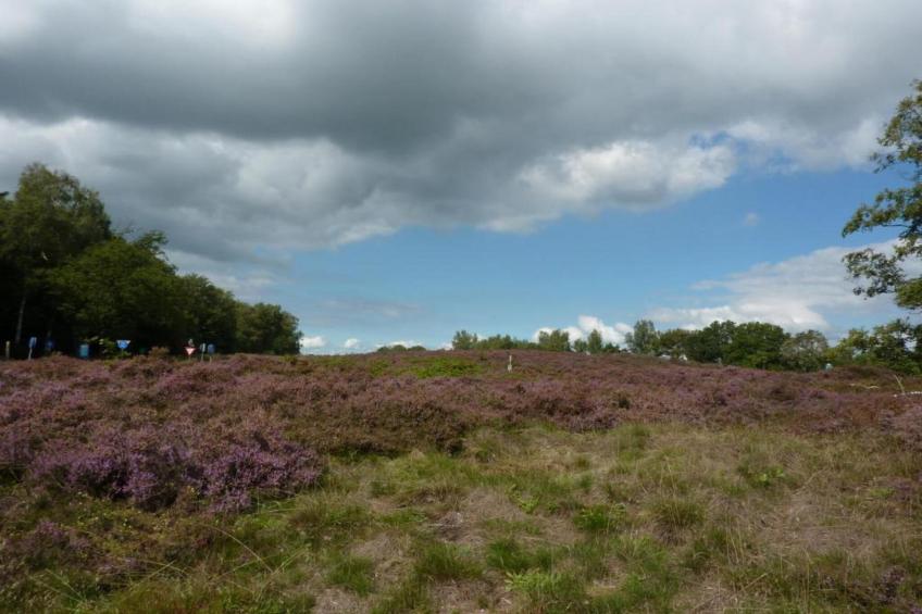 Glamping Resort Lauwersmeer 2 - foto 31
