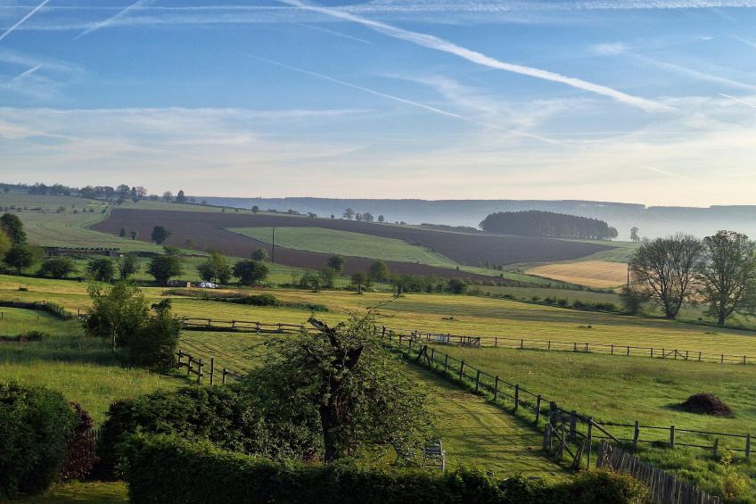 Le Vieux Chene - foto 34