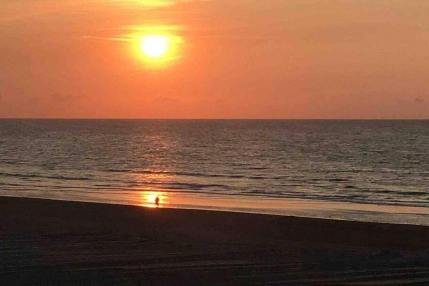 Dynastie - 0203 - foto 36