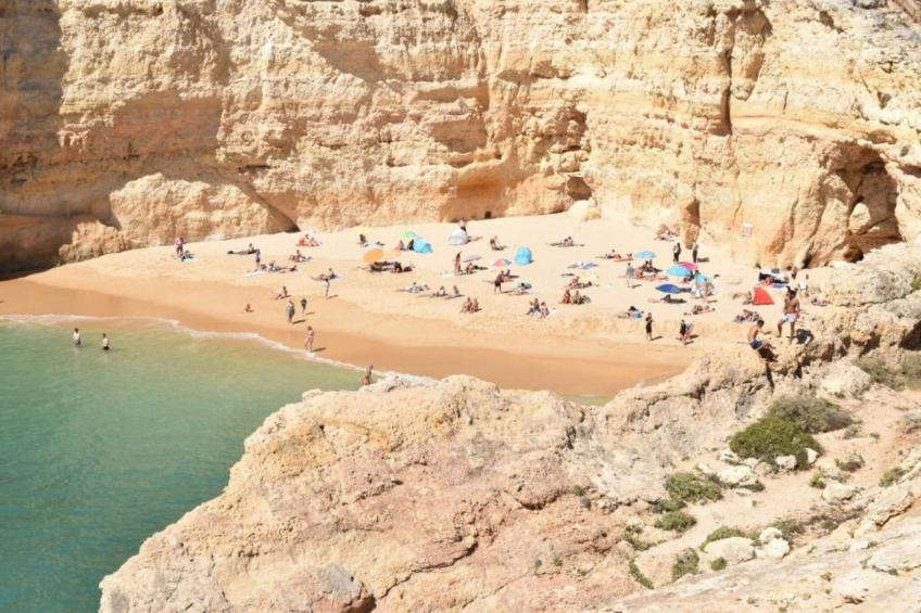 Montanha Vista - foto 34