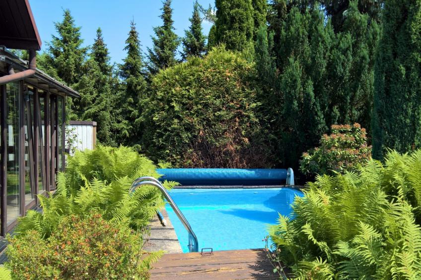 in Maxen mit Privatem Pool - foto 4