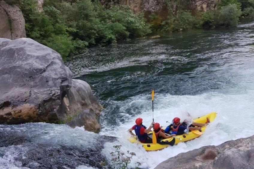 La Finca OliveTree - foto 45