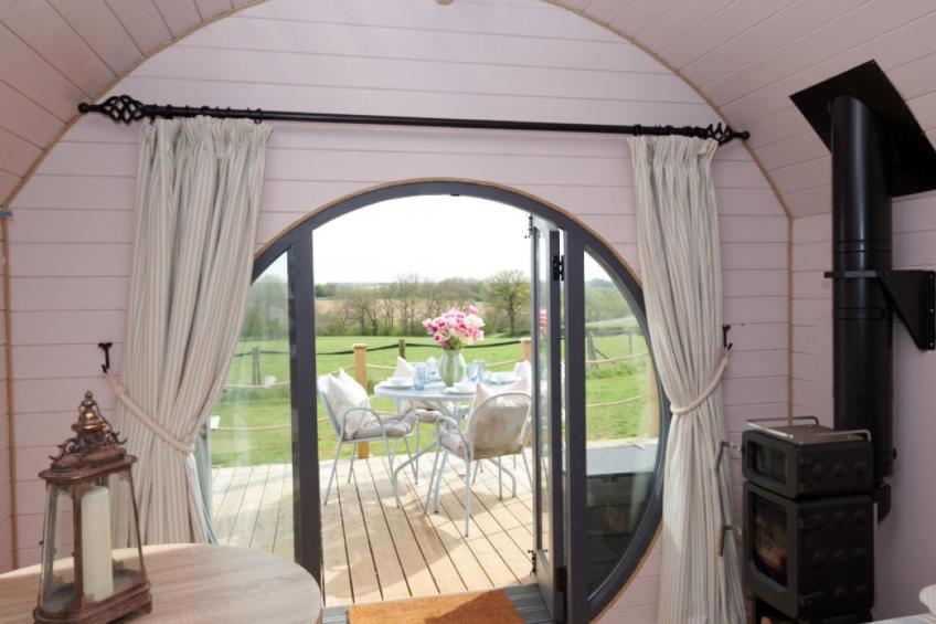 The Cornflower - foto 3