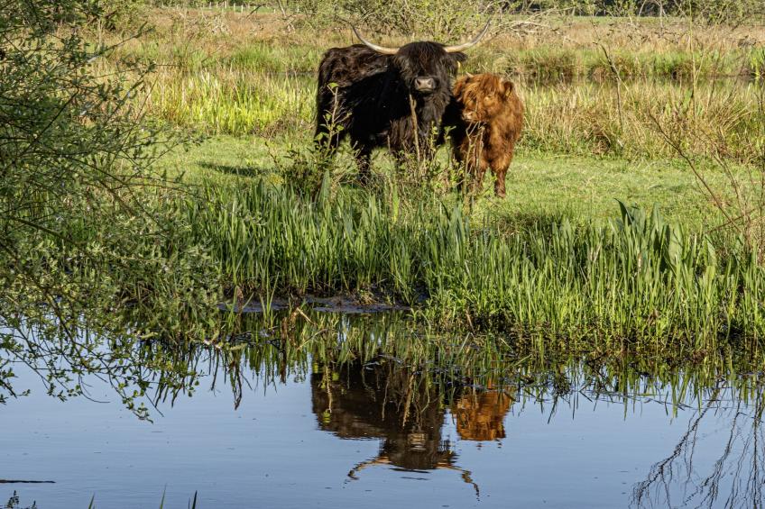 Malta 7C- Second & 3th floor - foto 13