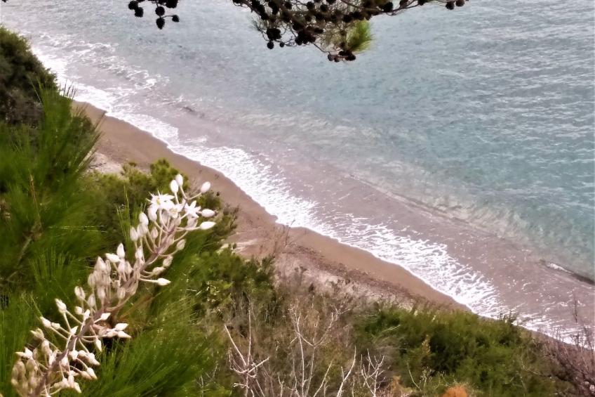 Wohnung mit Gartenblick, Kreta, Ierapetra - foto 40
