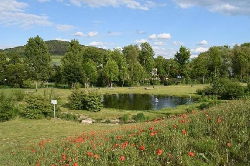 Stadt Apartement - foto 22