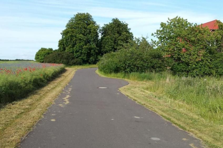 Schwalbennest - foto 42