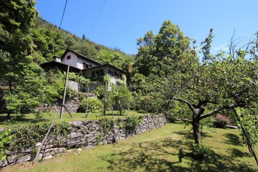 Charmantes Tessiner Haus mit absoluter Privatsphäre - foto 4