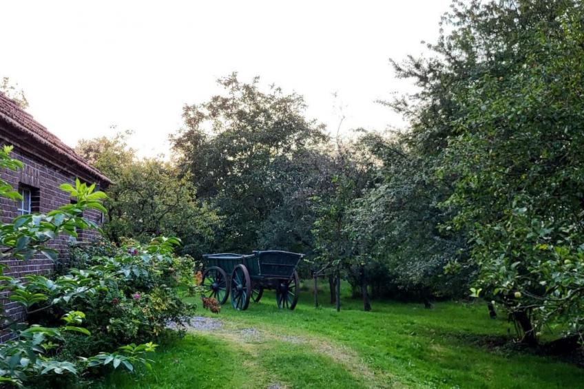Scheunenwohnung - foto 17
