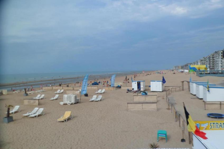 Zilte Rust - foto 32