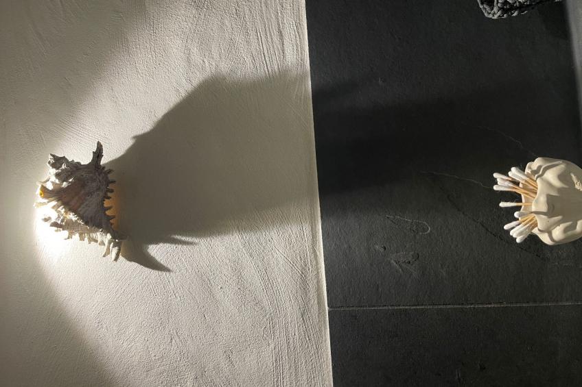 Max Mountain View - foto 23