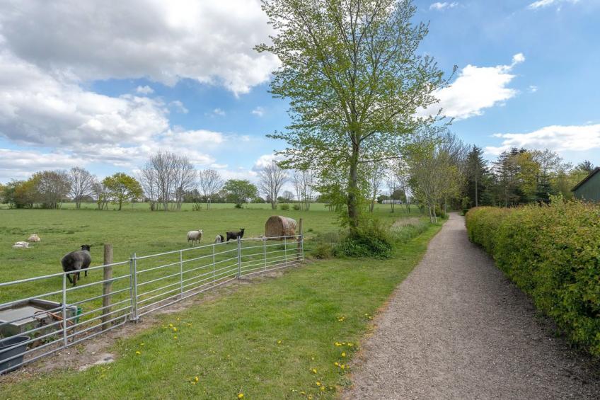 "Ilsa" - 9.8km from the sea in Western Jutland - foto 15