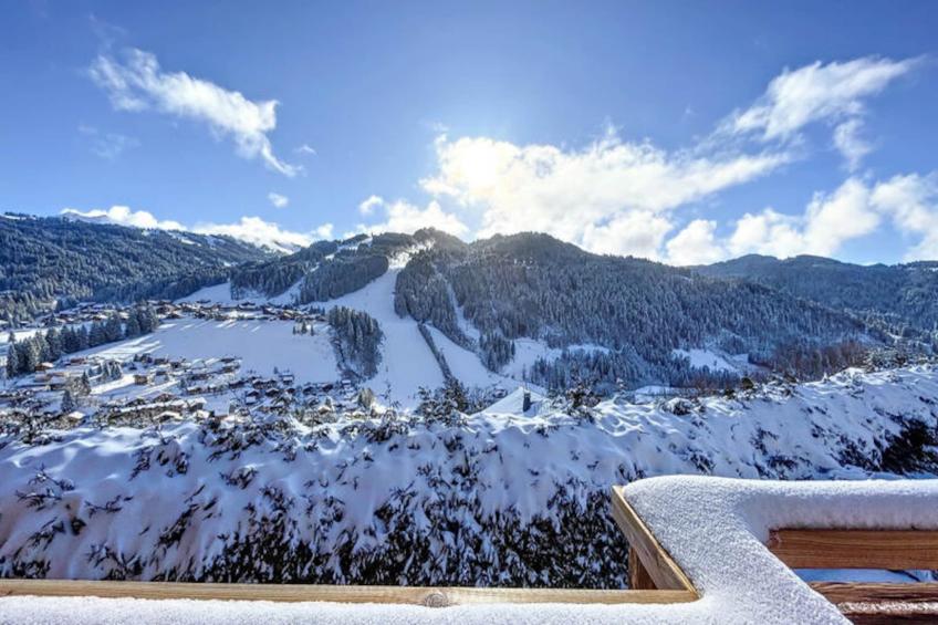 Chalets à Les Gets - foto 49