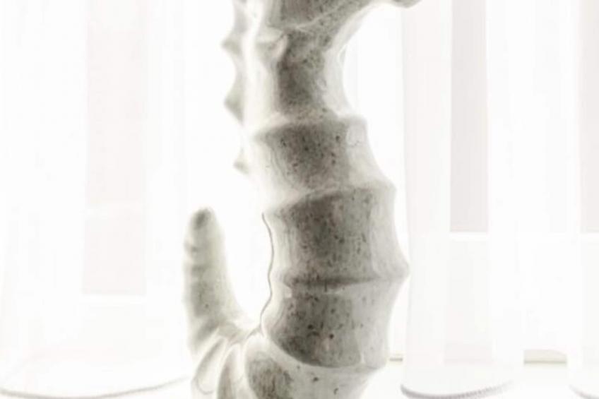 Beach And Dunes Studio - foto 24