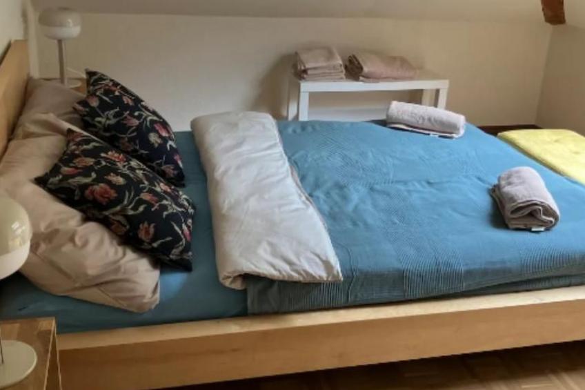 Wohnung mit Bergblick - foto 11