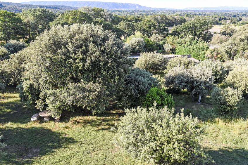 La Chênaie - foto 42