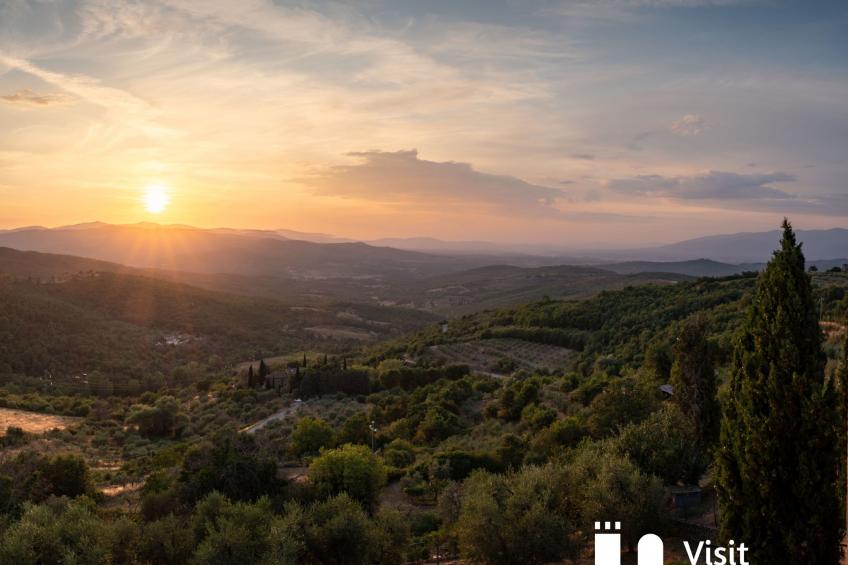 Flache Kornblume - foto 44