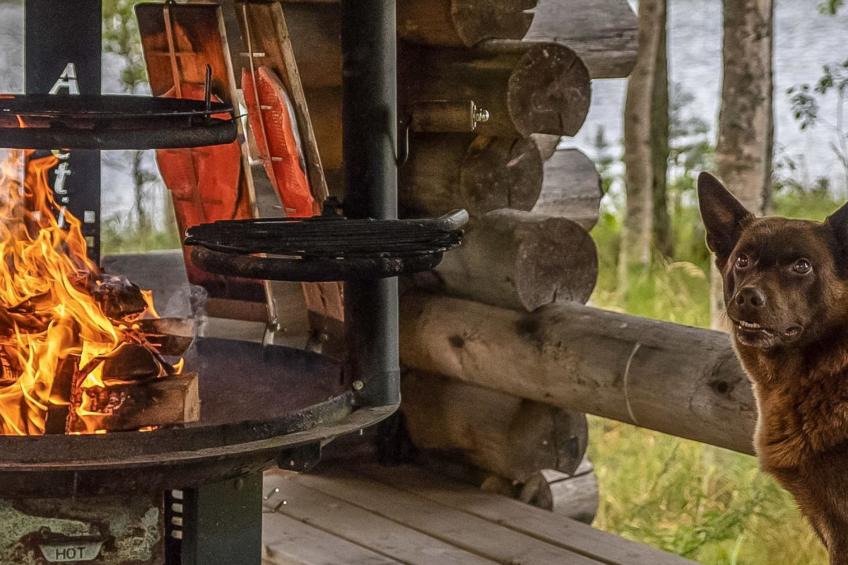 Talasniemi, rantalan lomamökit - foto 40