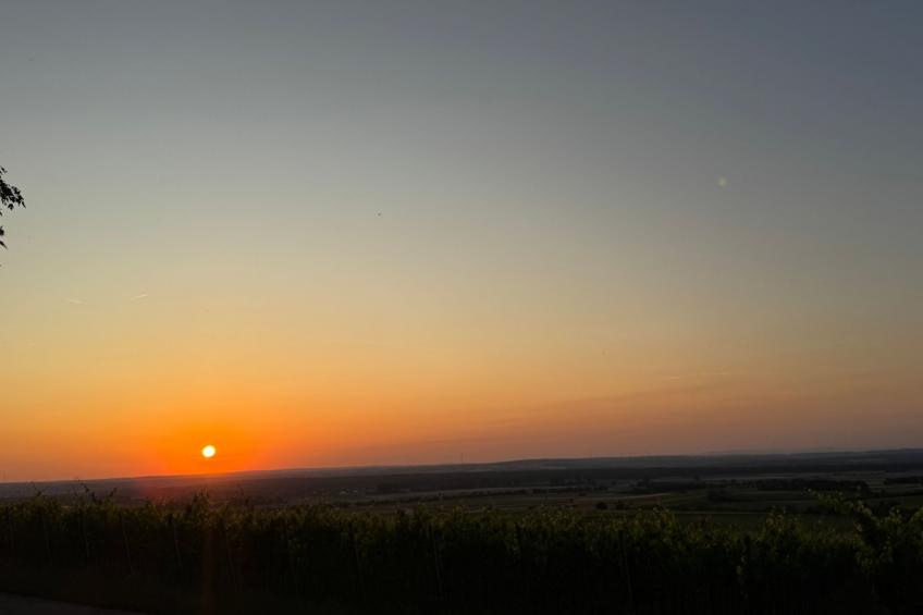 Panorama 180° - foto 20