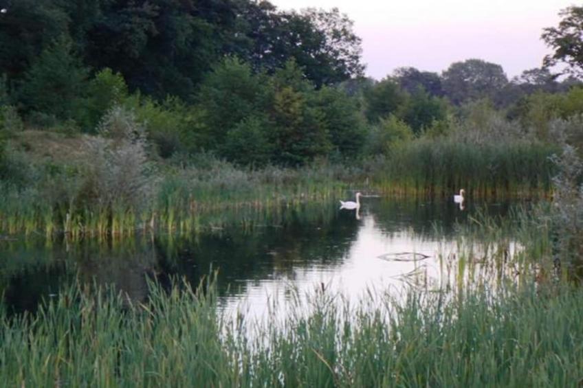 Vakantiecentrum 't Schuttenbelt 3 - foto 38