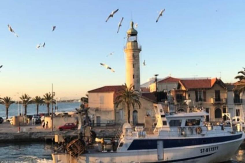 Résidence Le Studio De La Lagune: Studio Cabine Proche De La Plage - foto 29