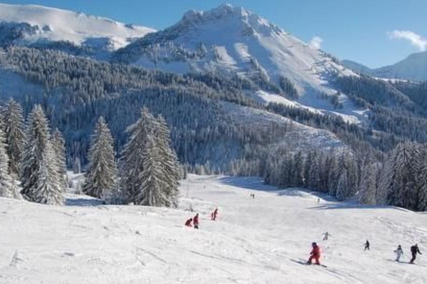 Maiensäss Romantica - foto 25