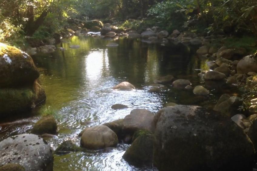 "Großvaters Häuschen" mit Kamin - foto 10