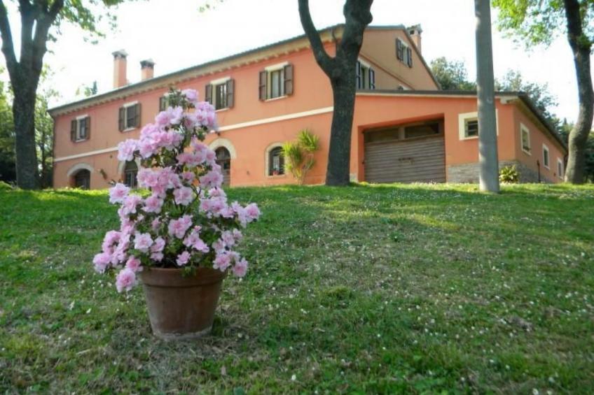 in der Gegend zwischen Meer und Berghang - foto 19