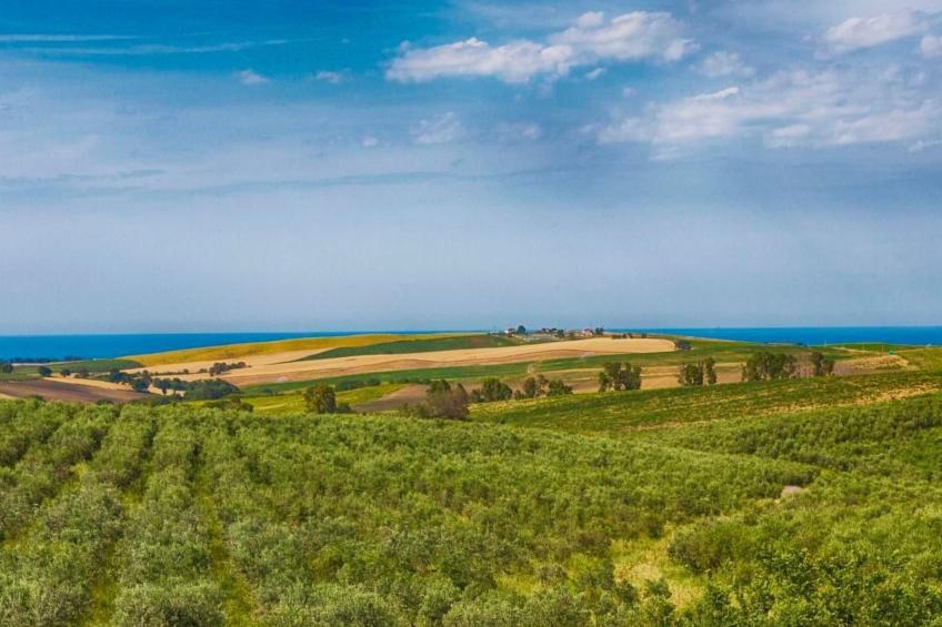 in Petacciato mit Terrasse, Grill und Garten - foto 28