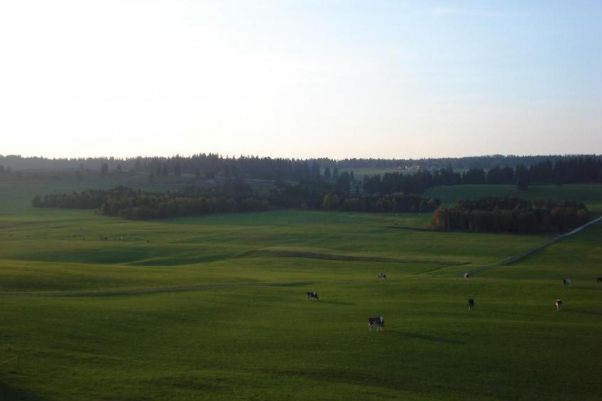 Wohnung in altem, renoviertem Bauernhaus - foto 49