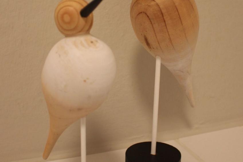 Gemütliche Wohnung in Geidorf mit Garten, Grazer Dom in der Nähe - foto 21