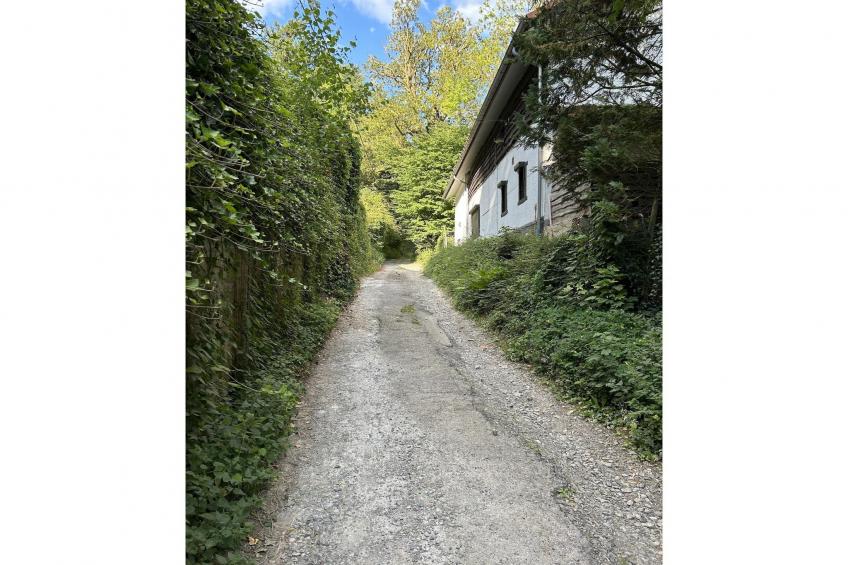 L'Ecureuil Blanc - foto 20