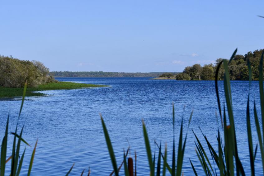 Standort Mimizan Plage - foto 2