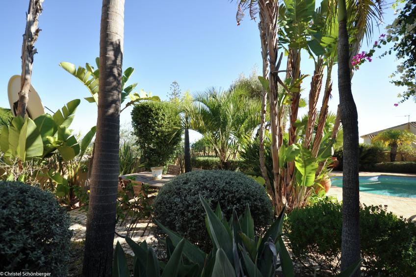 Quinta da Praia - foto 6