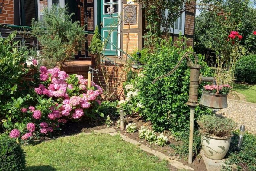 Haus Elbrose inmitten von Rosen mit Elbdeichzugang - foto 2