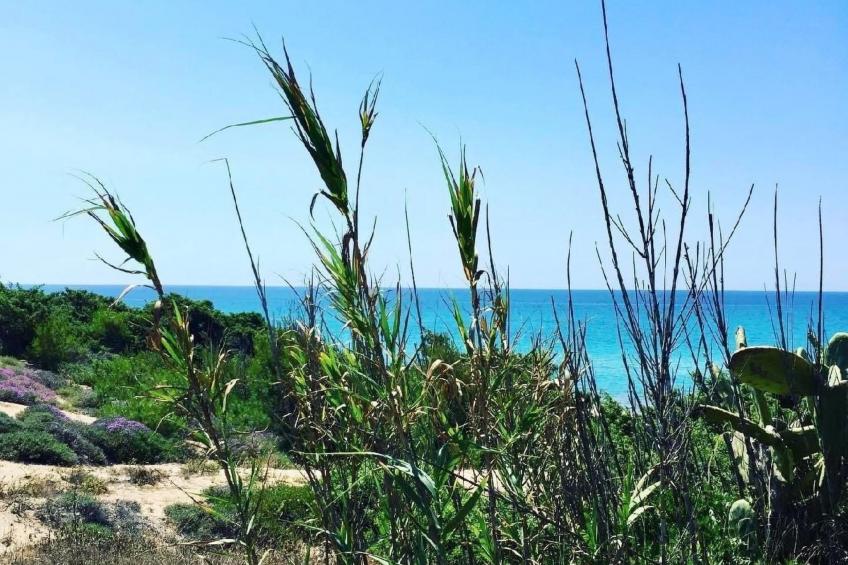 Villa mit privatem Pool - foto 42