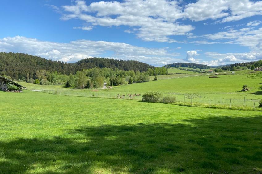 Plattenstein - foto 29