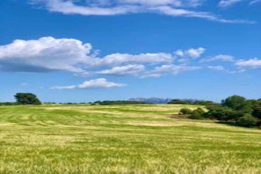 Can Códol 1 - foto 36