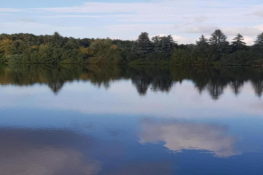 Im Erzgebirge - foto 14