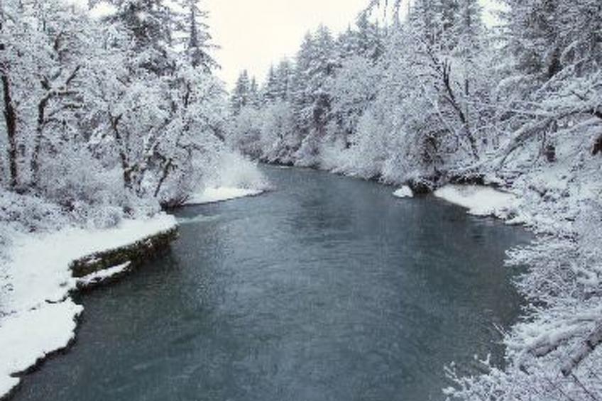 Meister´s Ferienhaus - foto 23