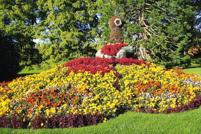 Holiday village Öfingen, Bad Dürrheim - Type B - foto 15