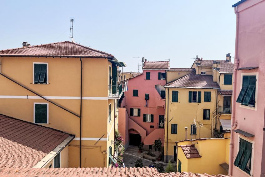 Il Tetragonuro - foto 6