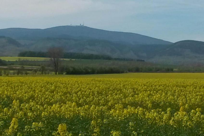 Meineckes Harzidyll Am Eichenberg III - foto 14