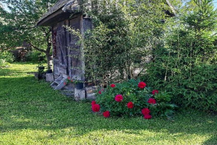 Apartment Čeliković - One Bedroom Apartment with Balcony - foto 11