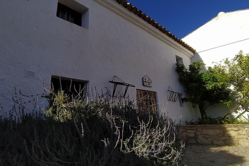 La Casa Vieja - foto 9