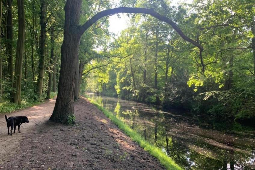 Het Roefje - foto 34