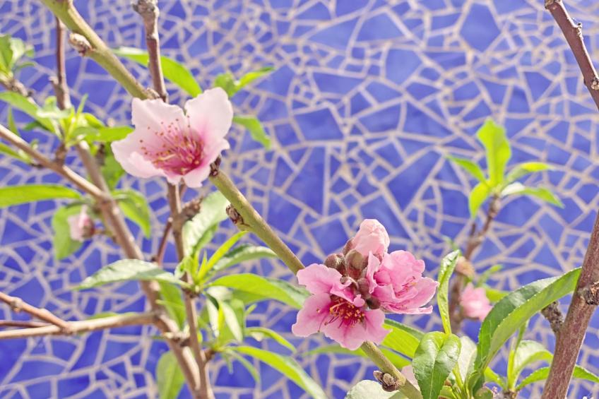 Villa Castillo Moro - foto 14