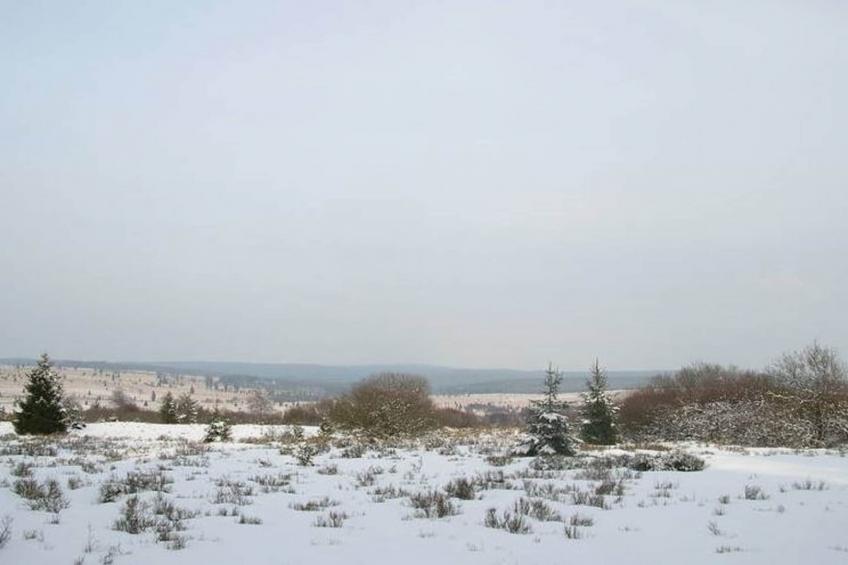 Cligneval - foto 31